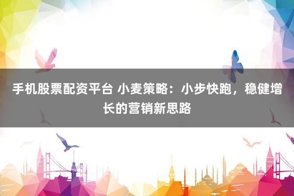 手機股票配資平臺 小麥策略：小步快跑，穩(wěn)健增長的營銷新思路