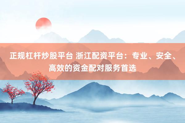 正規(guī)杠桿炒股平臺(tái) 浙江配資平臺(tái)：專業(yè)、安全、高效的資金配對(duì)服務(wù)首選