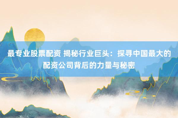最專業(yè)股票配資 揭秘行業(yè)巨頭：探尋中國(guó)最大的配資公司背后的力量與秘密