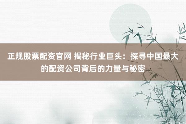 正規(guī)股票配資官網(wǎng) 揭秘行業(yè)巨頭：探尋中國最大的配資公司背后的力量與秘密