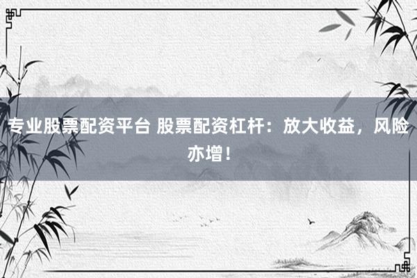 專業(yè)股票配資平臺 股票配資杠桿：放大收益，風險亦增！