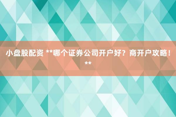 小盤股配資 **哪個證券公司開戶好？商開戶攻略！**