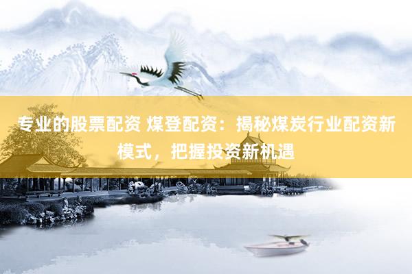 專業(yè)的股票配資 煤登配資：揭秘煤炭行業(yè)配資新模式，把握投資新機遇